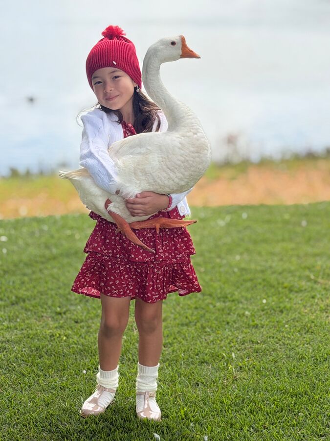 Menina de gorro vermelho abraçando um ganso branco à beira de um lago