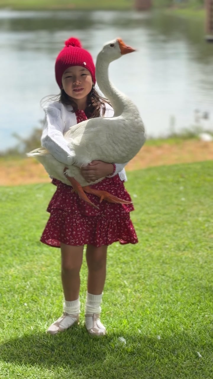 Menina de gorro vermelho segurando um ganso à beira de um lago